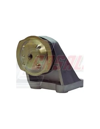 CASALS80168