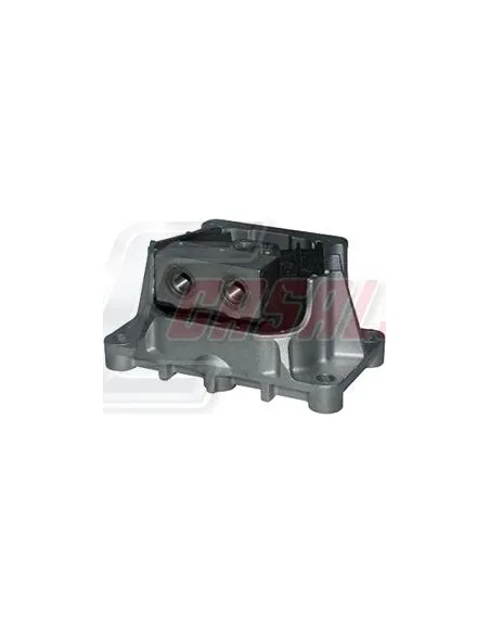 CASALS80170