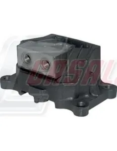 CASALS80178