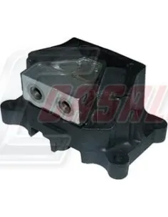 CASALS80179