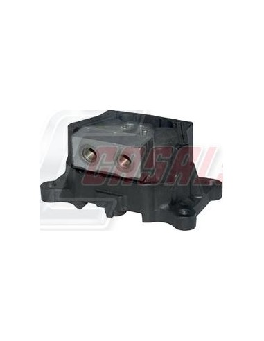 CASALS80182