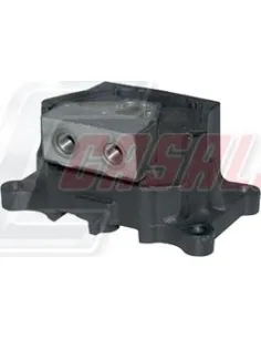 CASALS80183