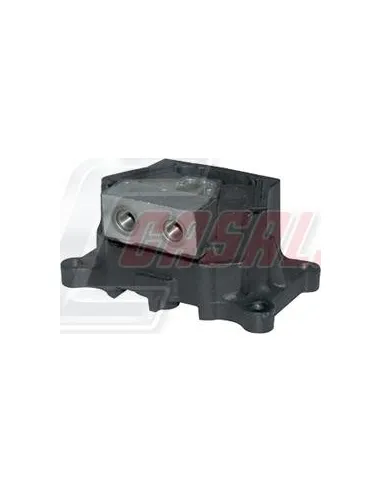 CASALS80183