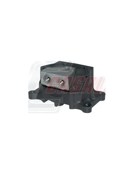 CASALS80183