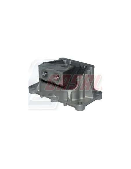 CASALS80186