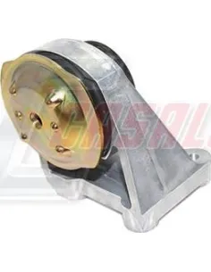 CASALS80196