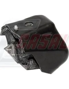 CASALS80203