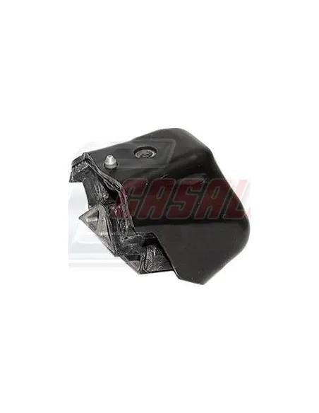 CASALS80203
