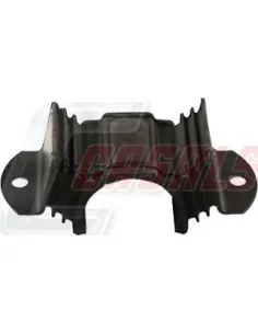 CASALS80204