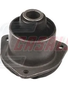 CASALS80206