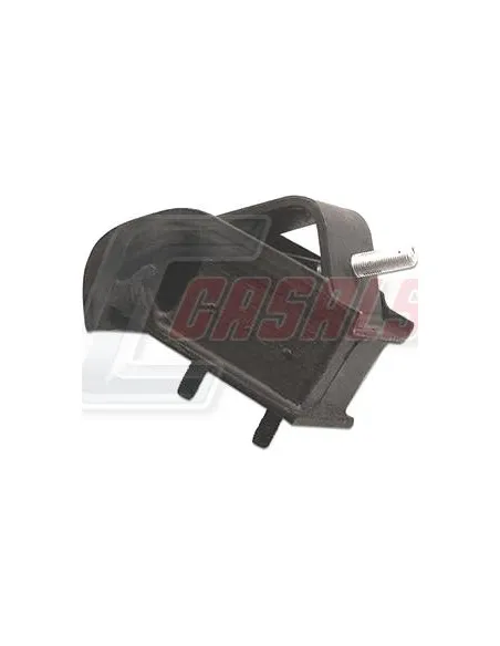 CASALS80207