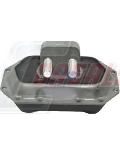 CASALS80210