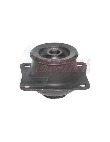 CASALS80214