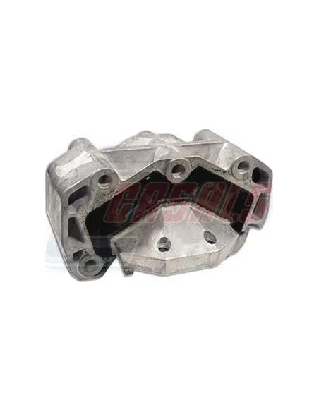 CASALS80215