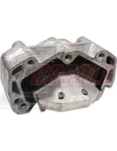 CASALS80216