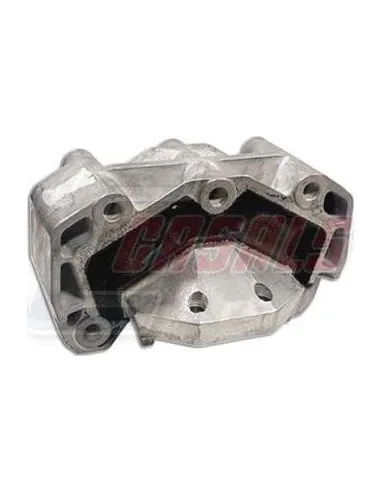 CASALS80216