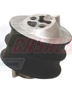 CASALS80217