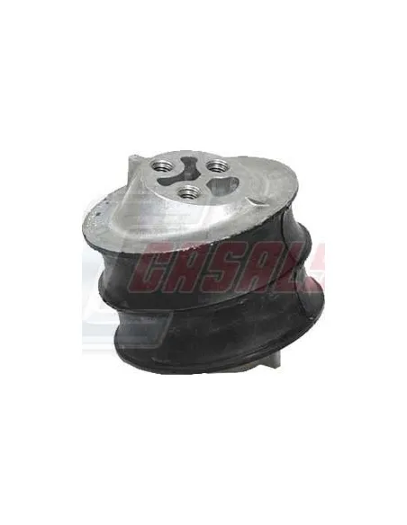 CASALS80218