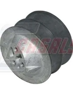 CASALS80219
