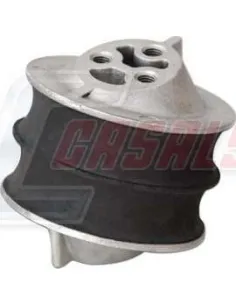 CASALS80220
