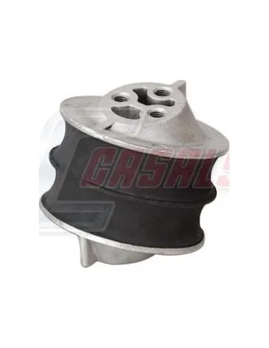 CASALS80220