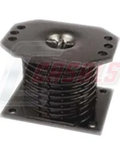CASALS80221