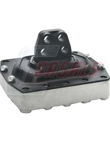 CASALS80223