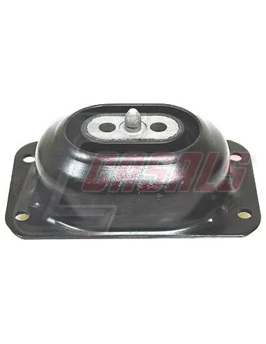 CASALS80225