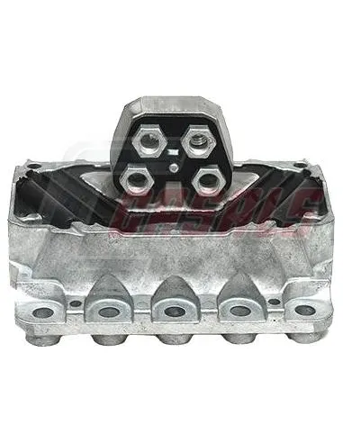CASALS80226