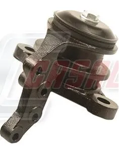 CASALS80236