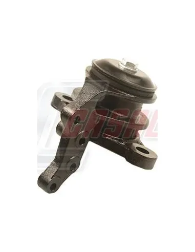 CASALS80236