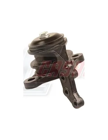 CASALS80237