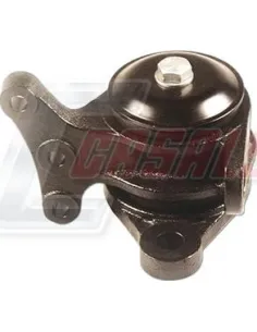 CASALS80238