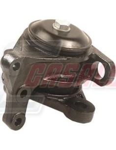 CASALS80240