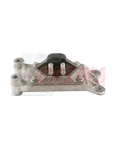 CASALS80242