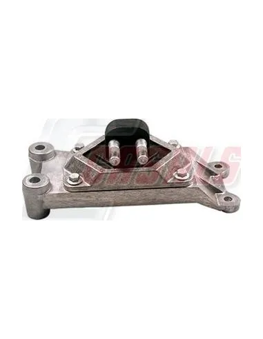 CASALS80246