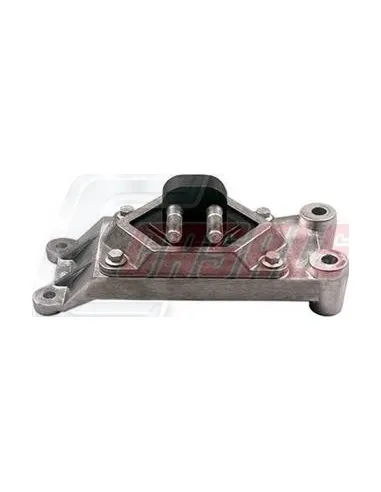 CASALS80247