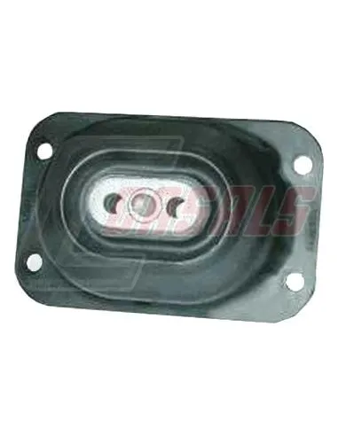 CASALS80249
