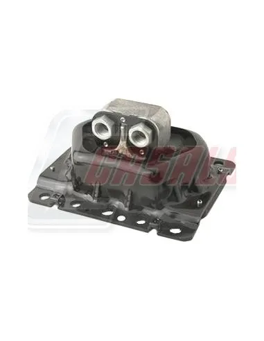 CASALS80252