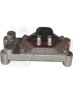 CASALS80253