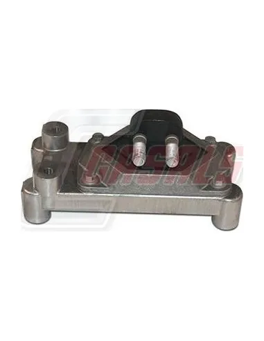 CASALS80253