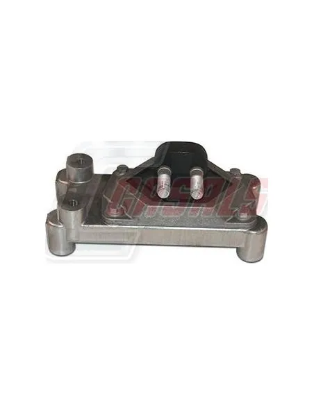 CASALS80253