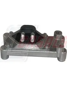 CASALS80254