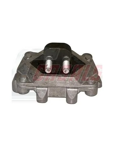 CASALS80255