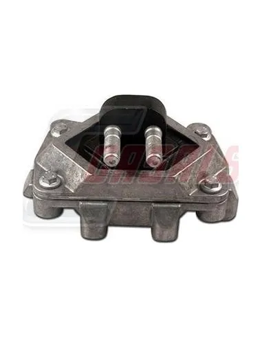 CASALS80256