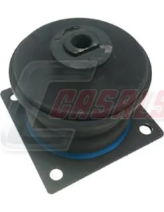 CASALS80258