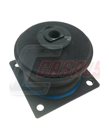 CASALS80258