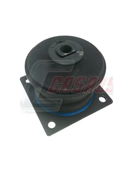 CASALS80258
