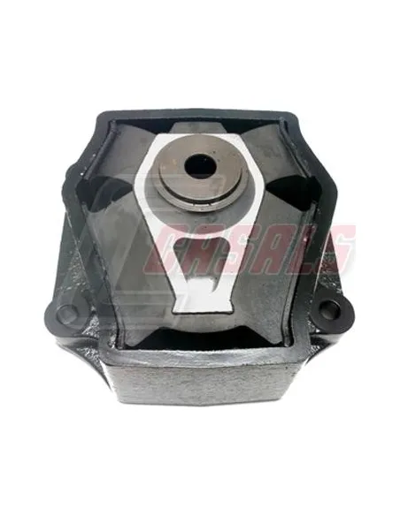 CASALS80260
