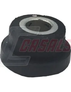 CASALS80302